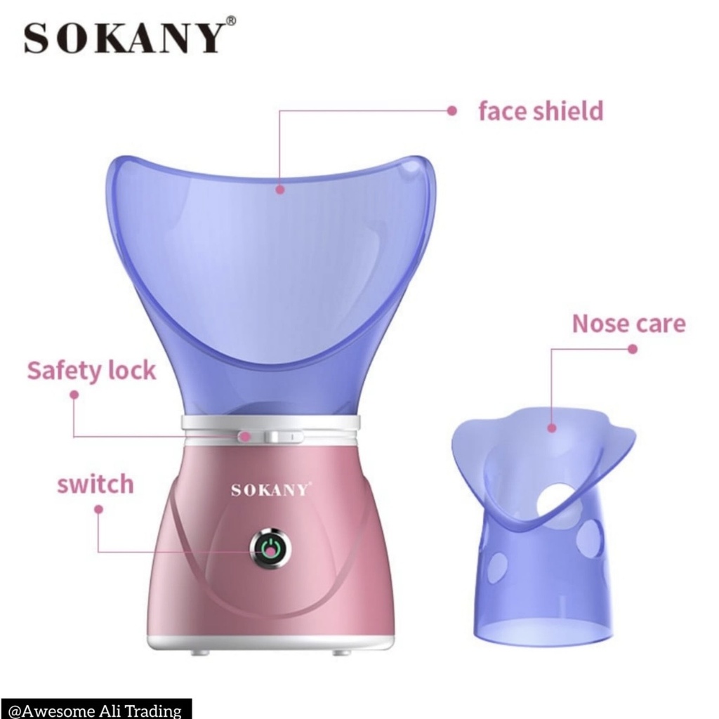 Facial iron steamer