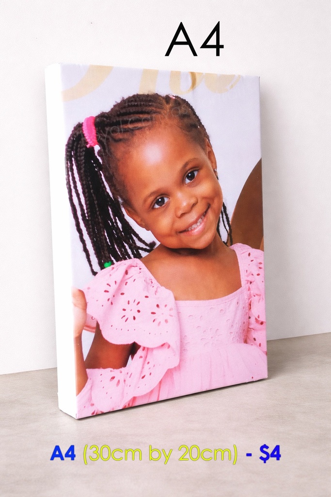 A4 canvas portraits